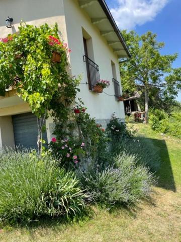 Badia Tedalda Casa Della Luna מראה חיצוני תמונה